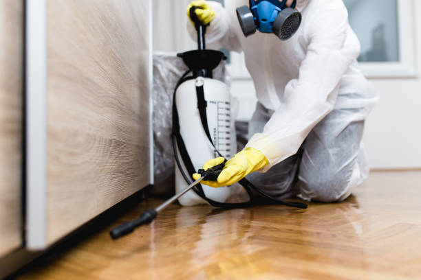 Insect Control in Greenbriar, FL