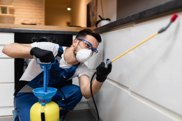 Best Flea Control Services  in Greenbriar, FL