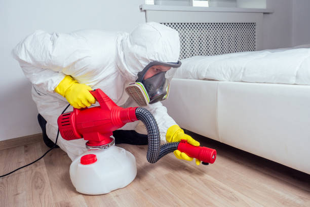 Best Mosquito Control Services  in Greenbriar, FL