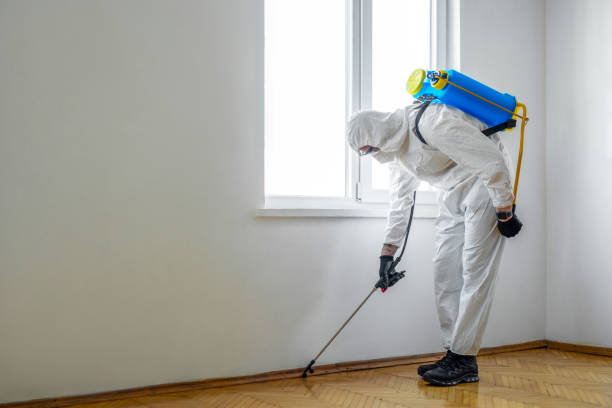 Pest Prevention Services in Greenbriar, FL