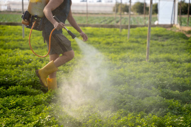 Best Residential Pest Control  in Greenbriar, FL