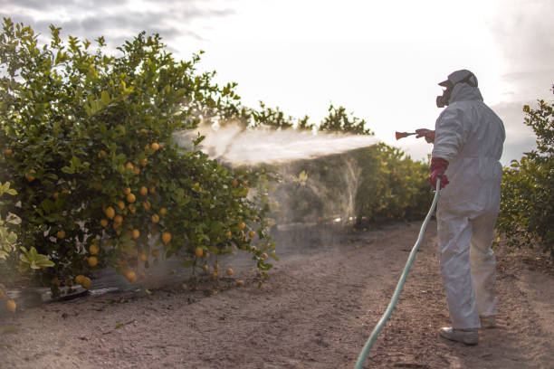 Trusted Greenbriar, FL Pest Control Experts