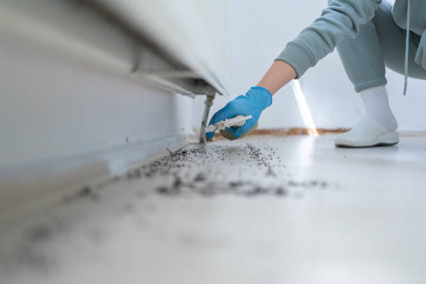 Best Affordable Pest Control Services  in Greenbriar, FL